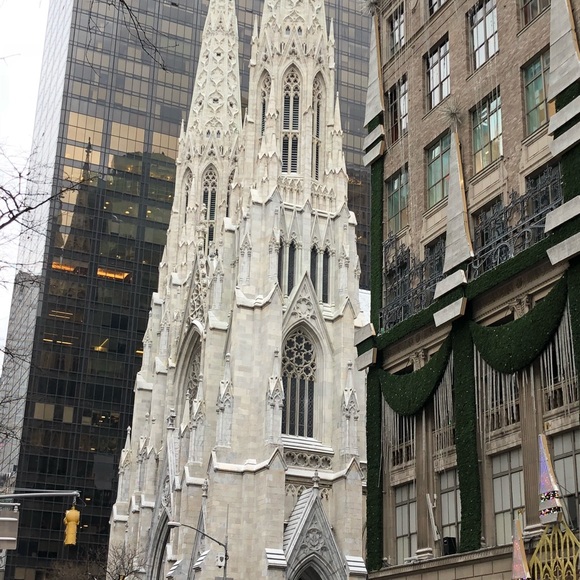 Meet your Posher, Lacey - Picture 4 of 5